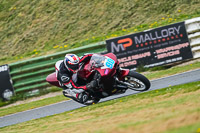 enduro-digital-images;event-digital-images;eventdigitalimages;mallory-park;mallory-park-photographs;mallory-park-trackday;mallory-park-trackday-photographs;no-limits-trackdays;peter-wileman-photography;racing-digital-images;trackday-digital-images;trackday-photos
